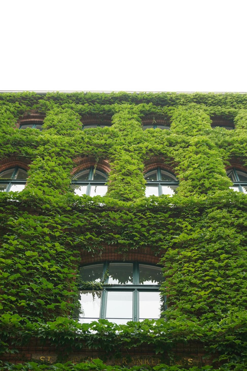 Port Credit Office